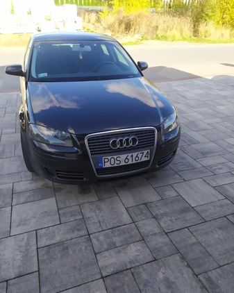 Audi A3 cena 13800 przebieg: 365088, rok produkcji 2007 z Pleszew małe 137